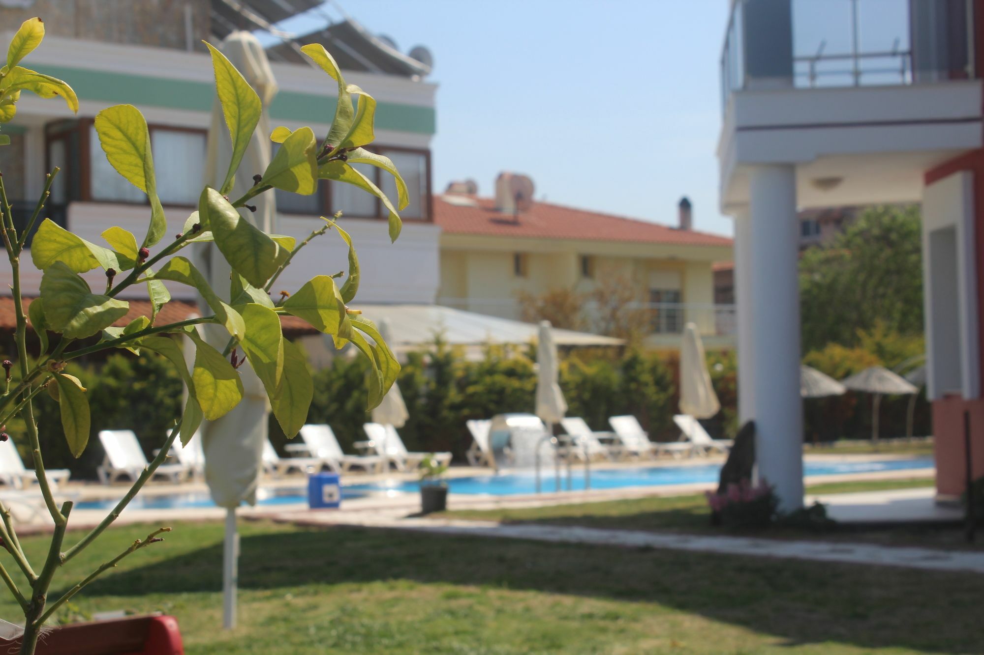 Cilek Butik Hotel Çeşme Exteriör bild